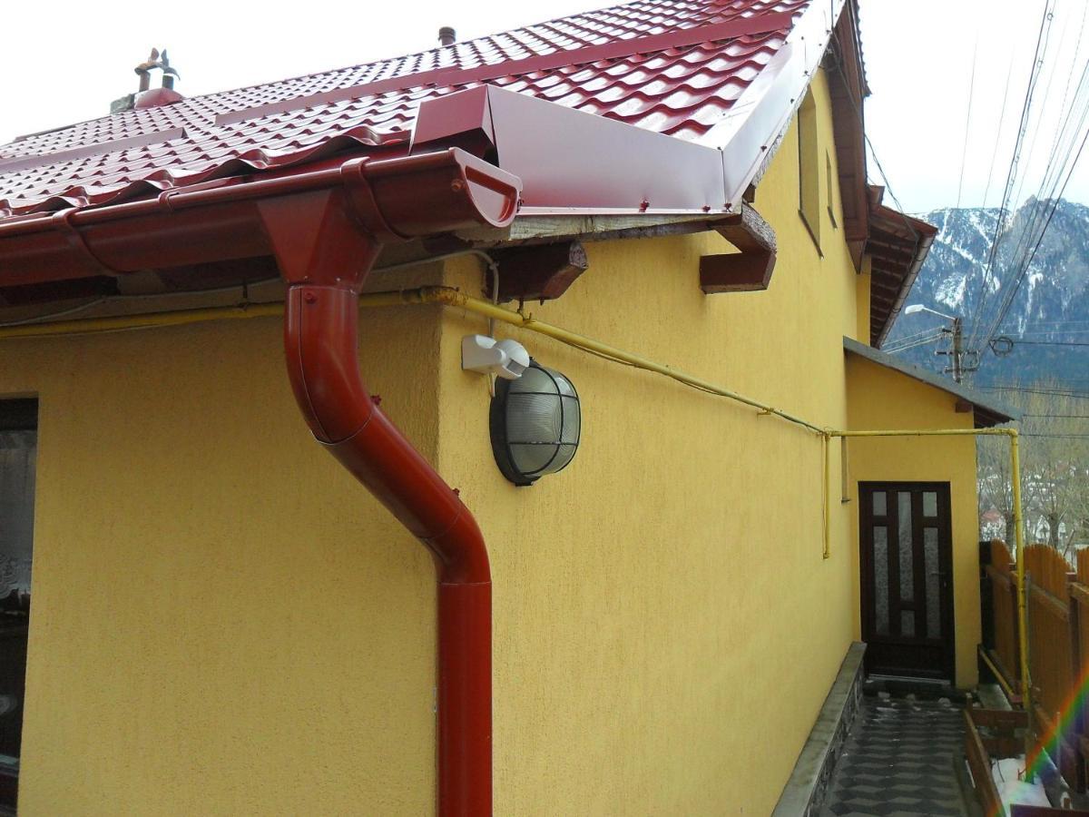 Casa Doina Hotel Busteni Ngoại thất bức ảnh